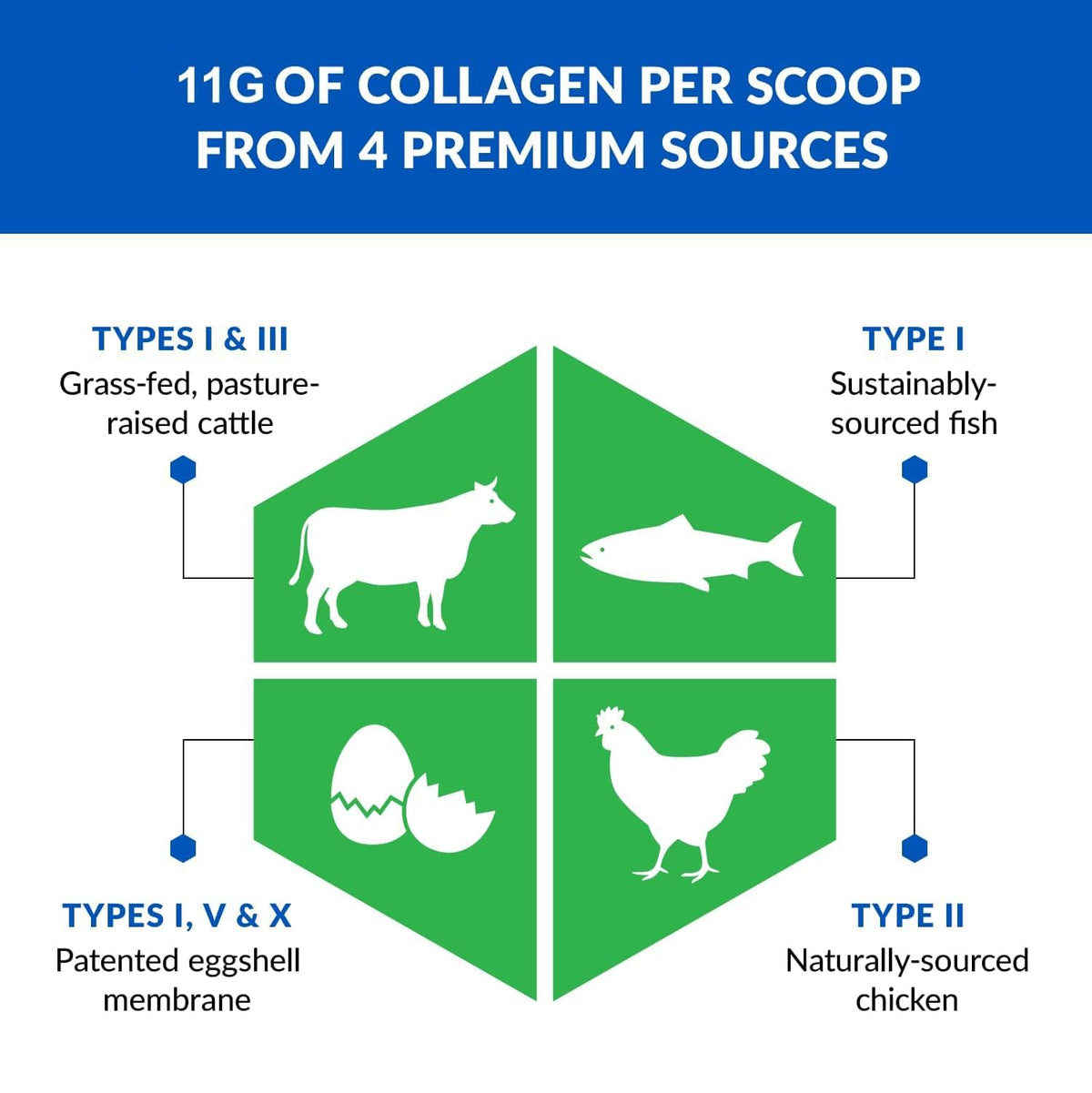 Unflavored Hydrolyzed Collagen Peptides Powder 3 Pack U738726