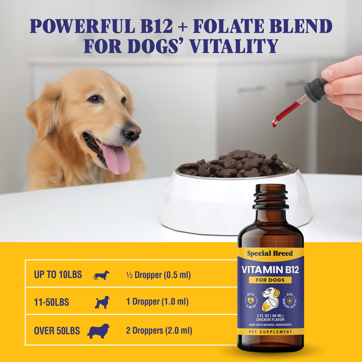 Liquid Vitamin B12 for Dogs, Chicken Flavor, 2 fl oz V4053