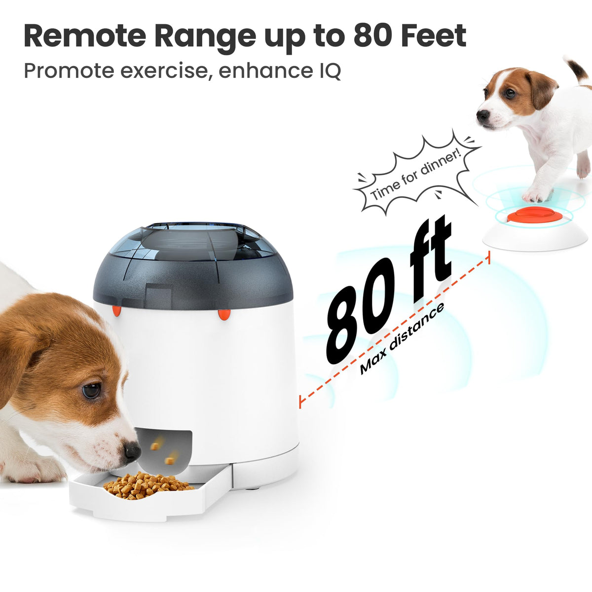 Dog Puzzle Feeder Toy I241300