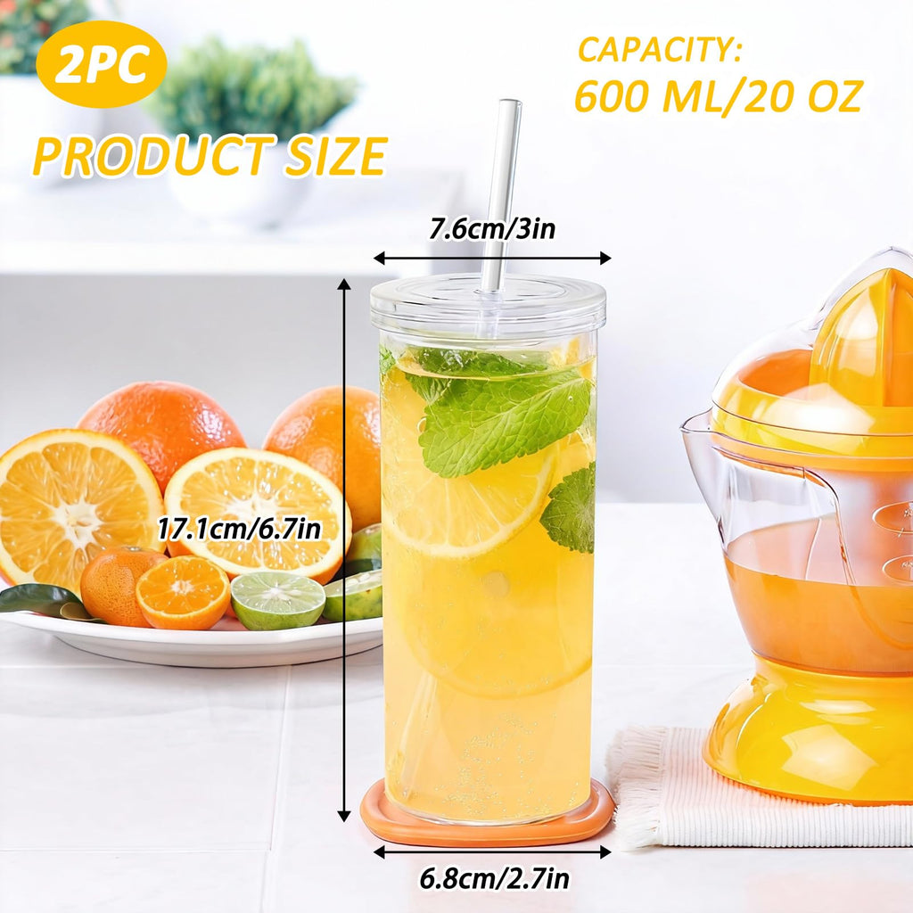 20oz Drinking Jars with Lids and Straws 2 Pack Clear Reusable T843321