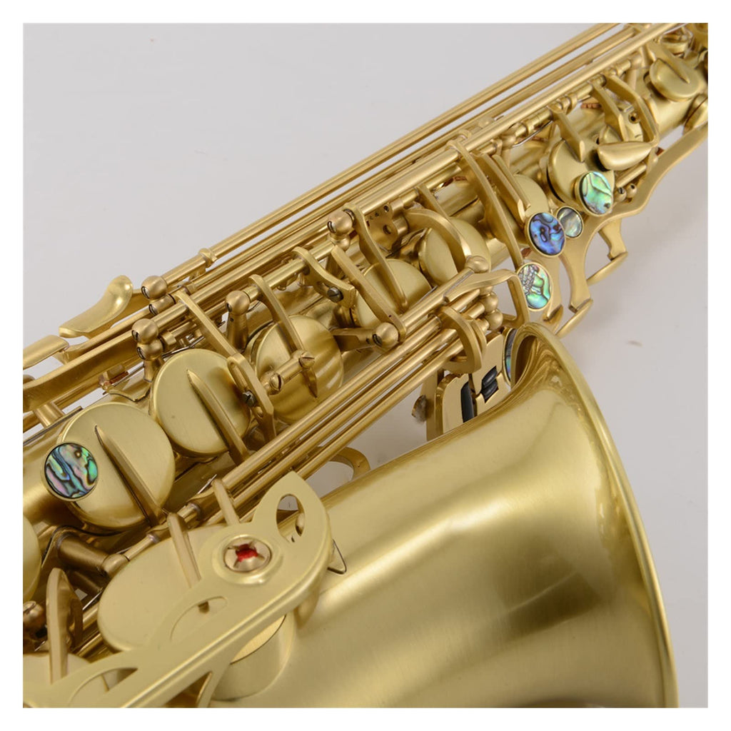 Antique Brushed E Flat Alto Saxophone P40913