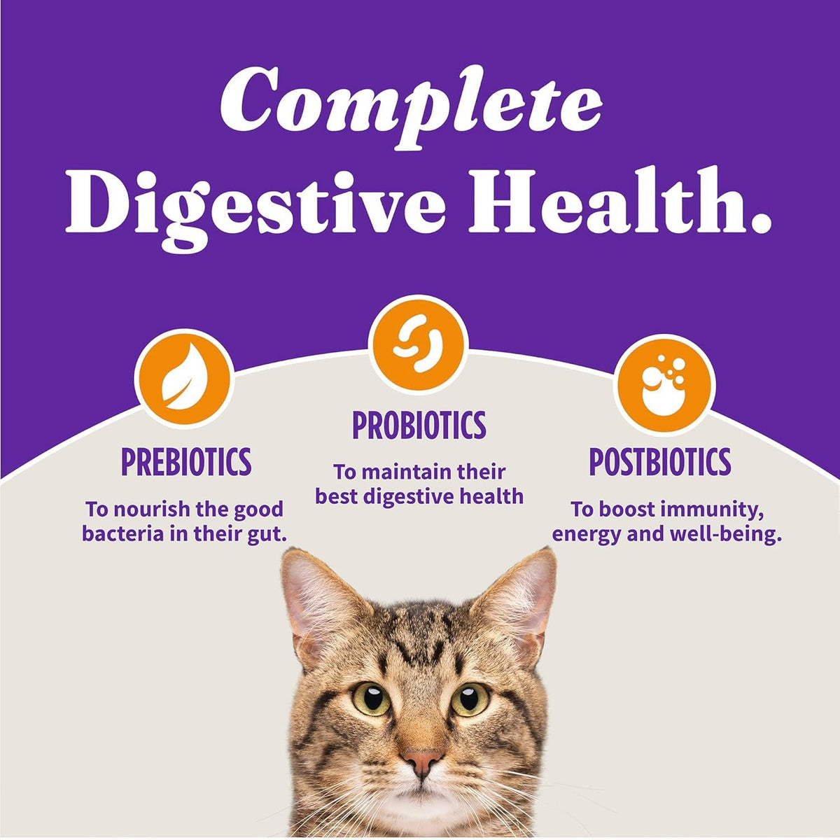 Dry Cat Food 3 lb V323