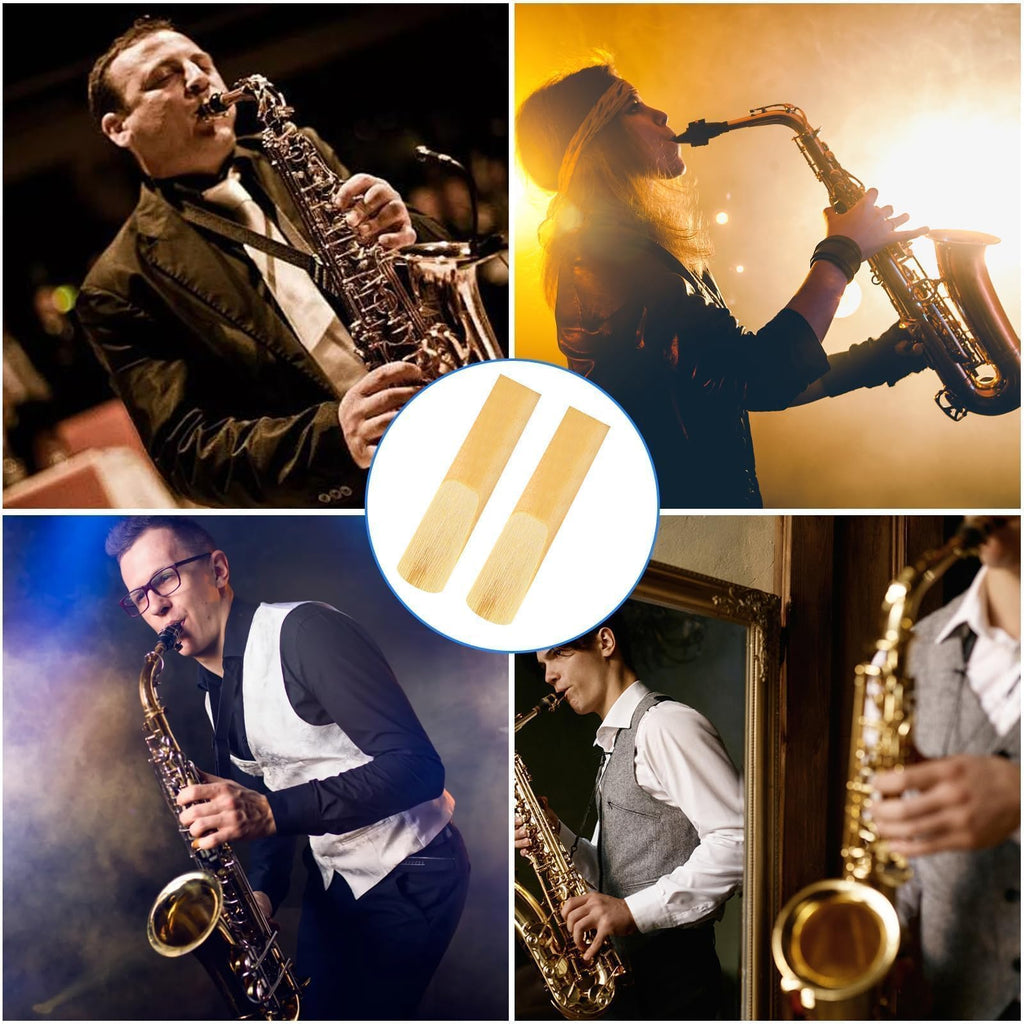 10 Pack Alto Saxophone Reeds 2.5 Strength D4019