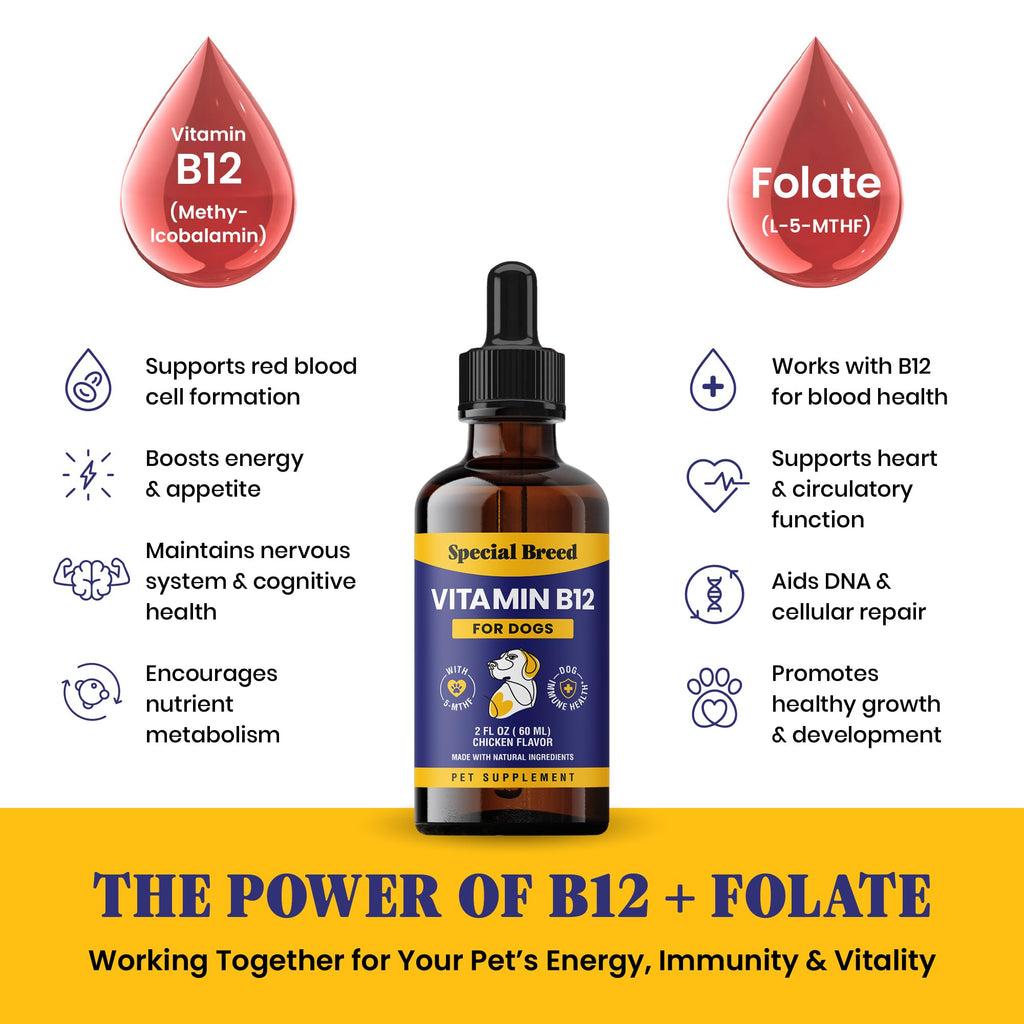 Liquid Vitamin B12 for Dogs, Chicken Flavor, 2 fl oz V4053
