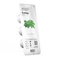 Catnip Plant Pods 3-Pack Y335