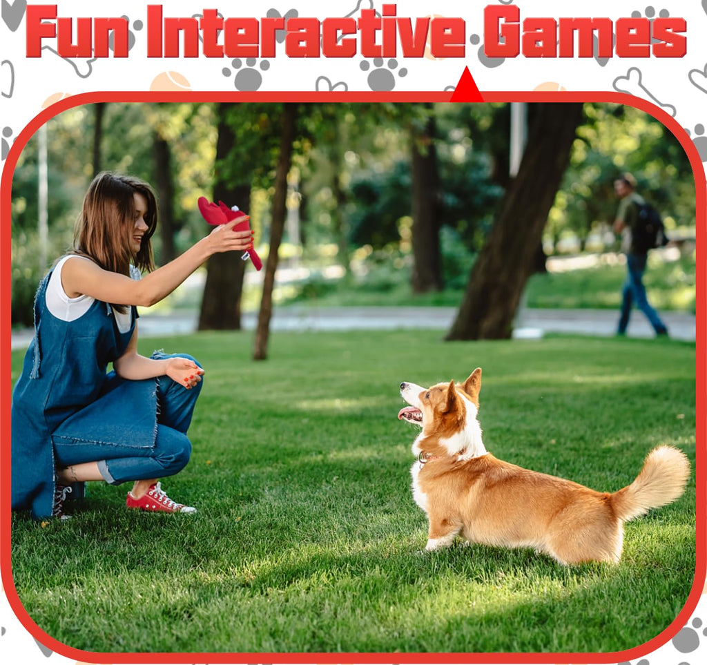 Plush Dog Toy U361827