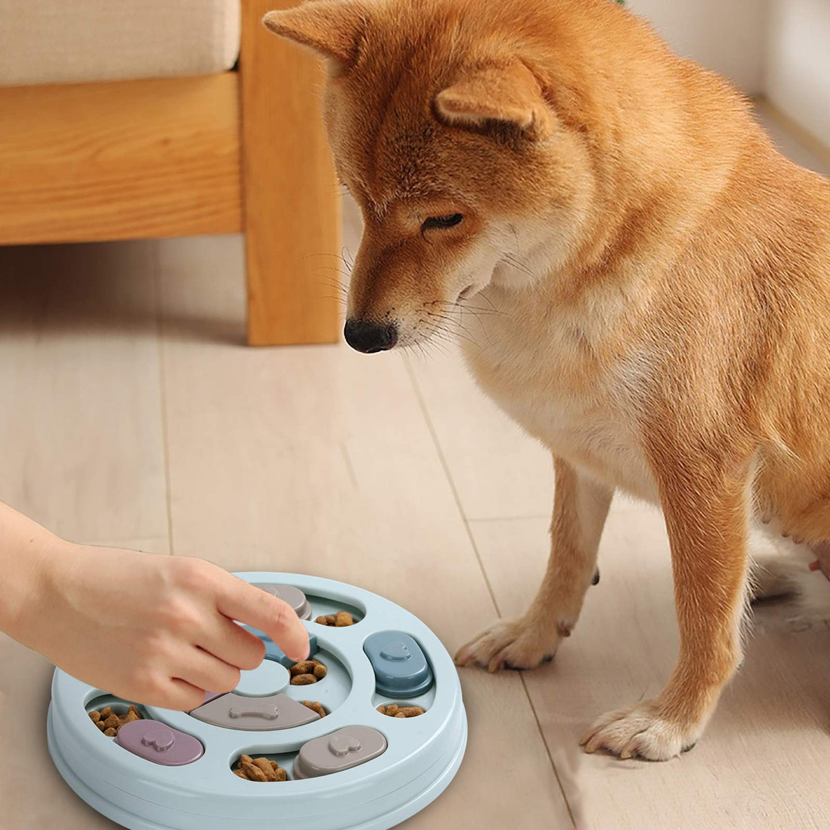 Dog Treat Puzzle B81423