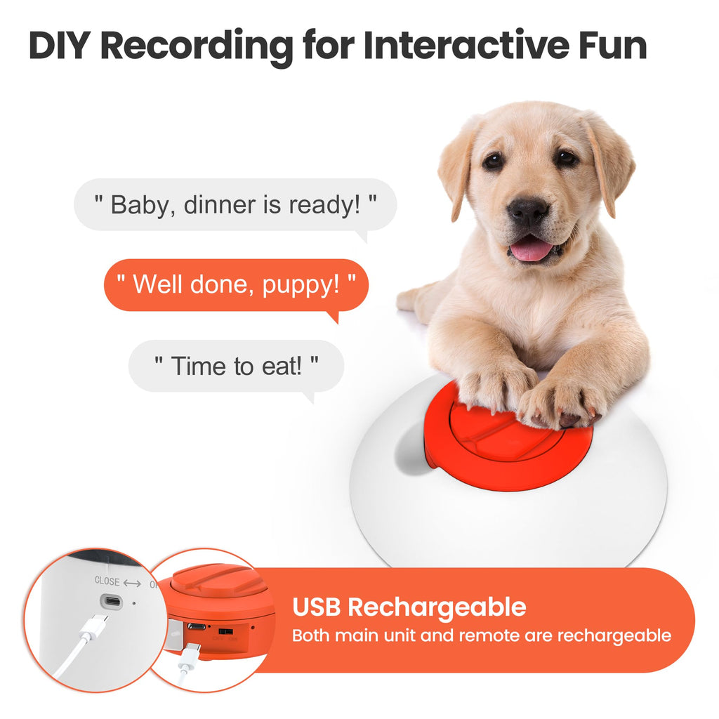 Dog Puzzle Feeder Toy I241300