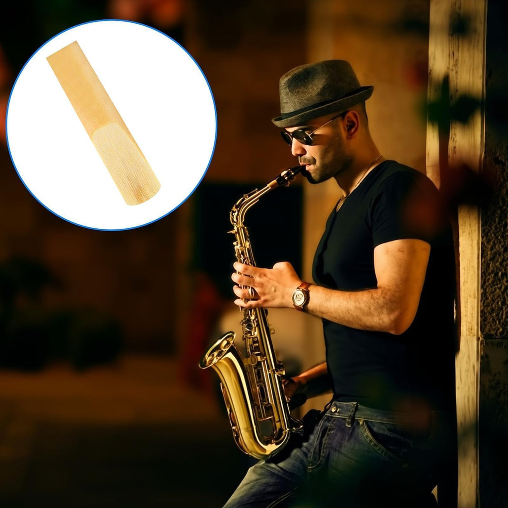 10 Pack Alto Saxophone Reeds 2.5 Strength D4019