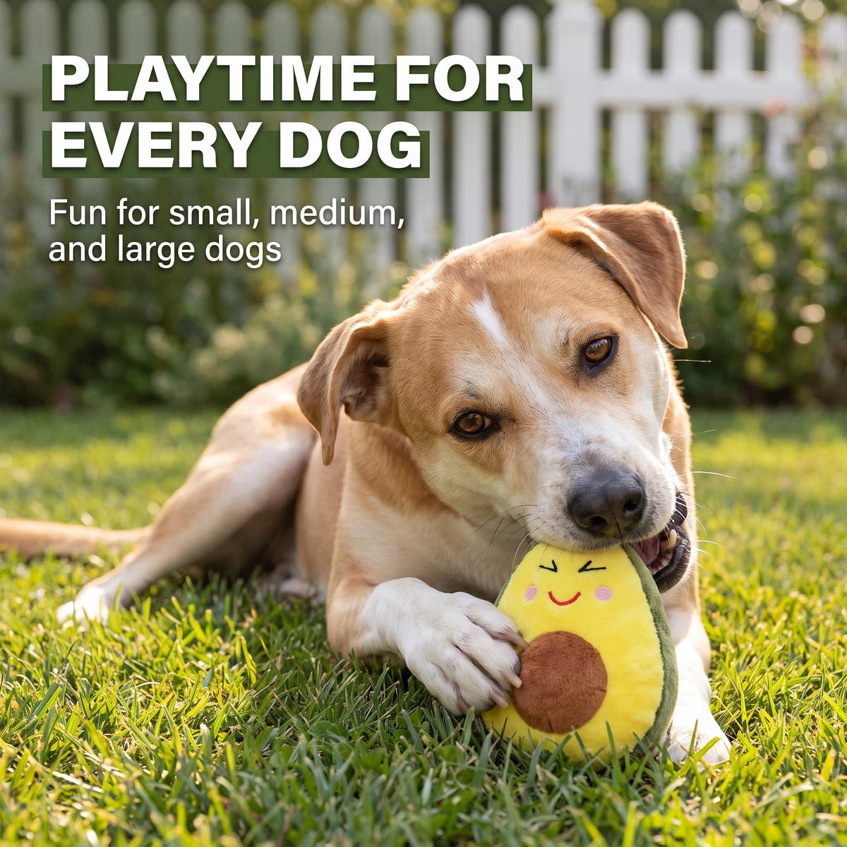 Squeaky Plush Avocado Dog Chew Toy O92526