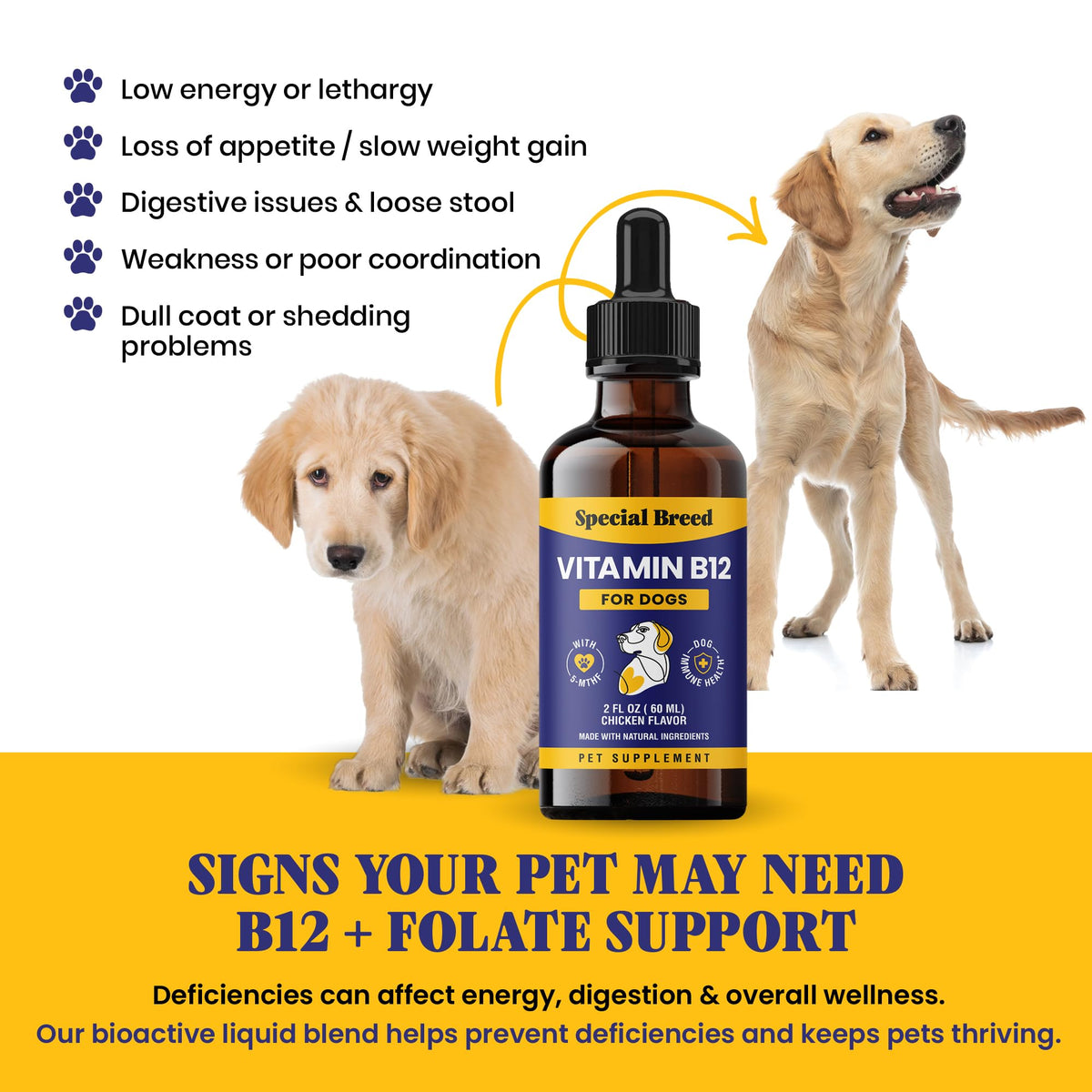 Liquid Vitamin B12 for Dogs, Chicken Flavor, 2 fl oz V4053