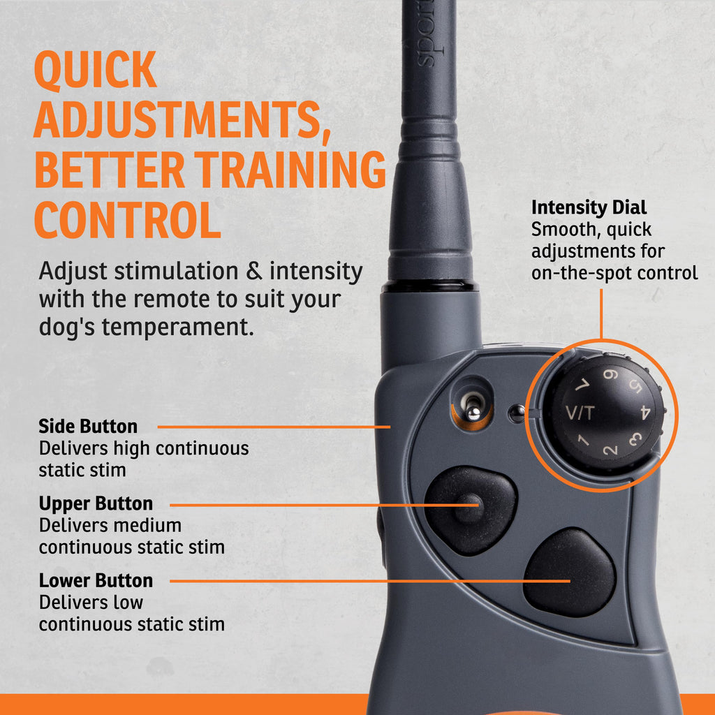 Remote Dog Trainer 1-Mile Range V232