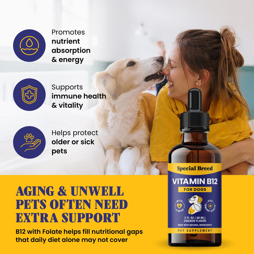 Liquid Vitamin B12 for Dogs, Chicken Flavor, 2 fl oz V4053