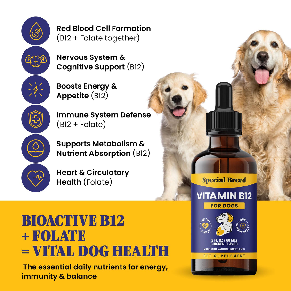 Liquid Vitamin B12 for Dogs, Chicken Flavor, 2 fl oz V4053