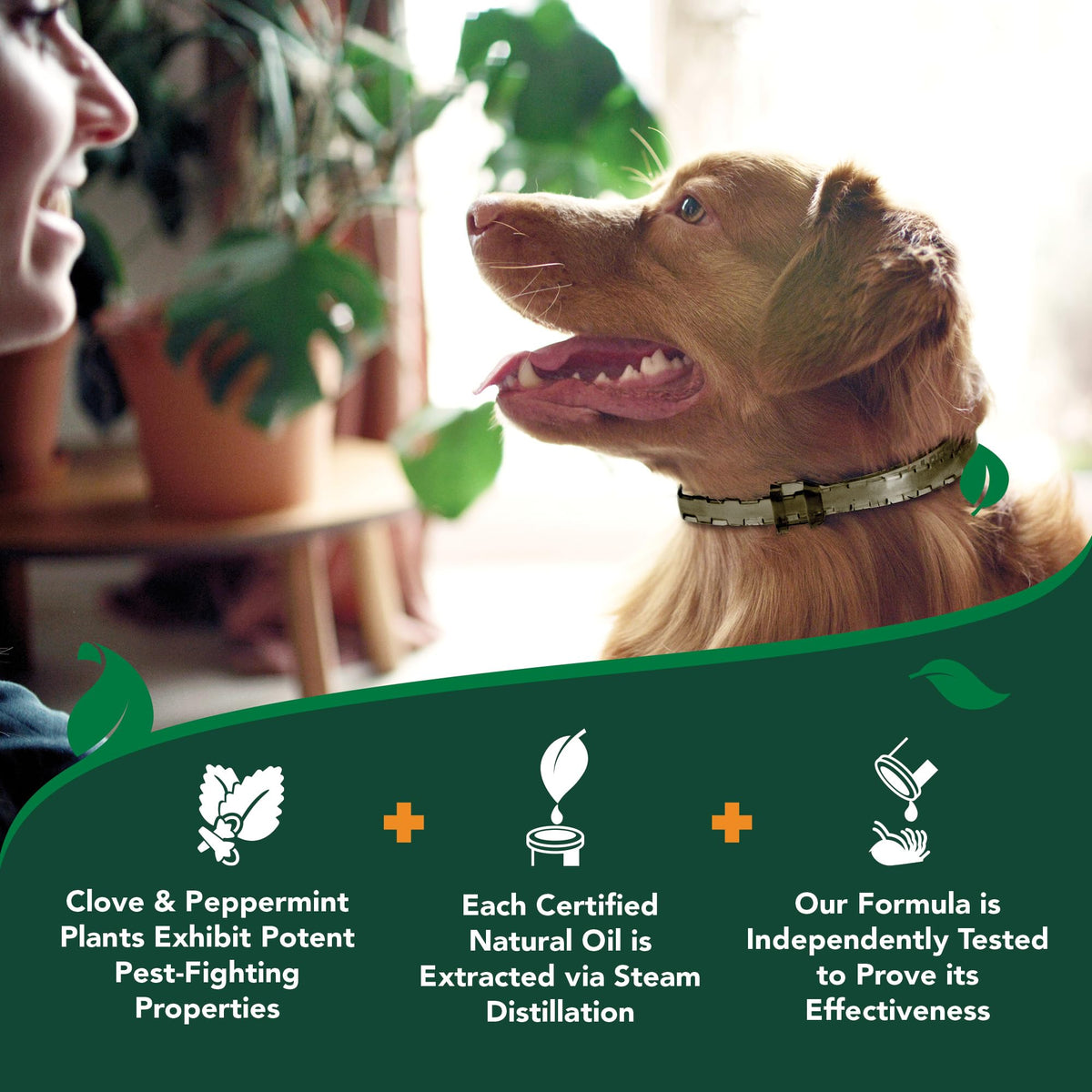 Plant-Based Flea & Tick Prevention Collar for Dogs C9978