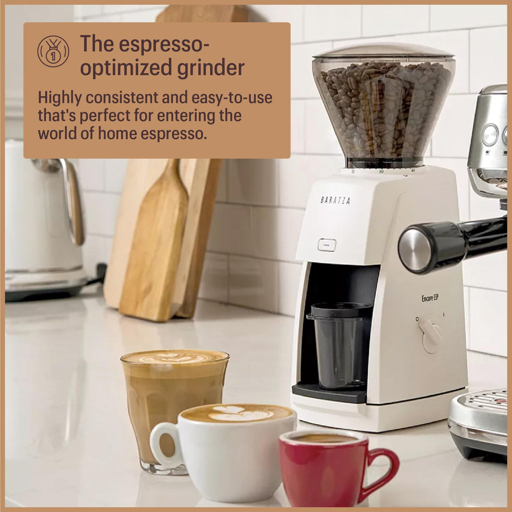 Black Coffee Grinder Y34643
