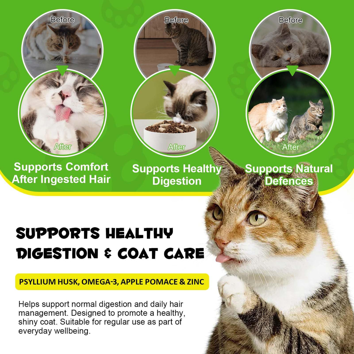 Hairball Remedy Cat Treats Chicken Flavour 100g L366304