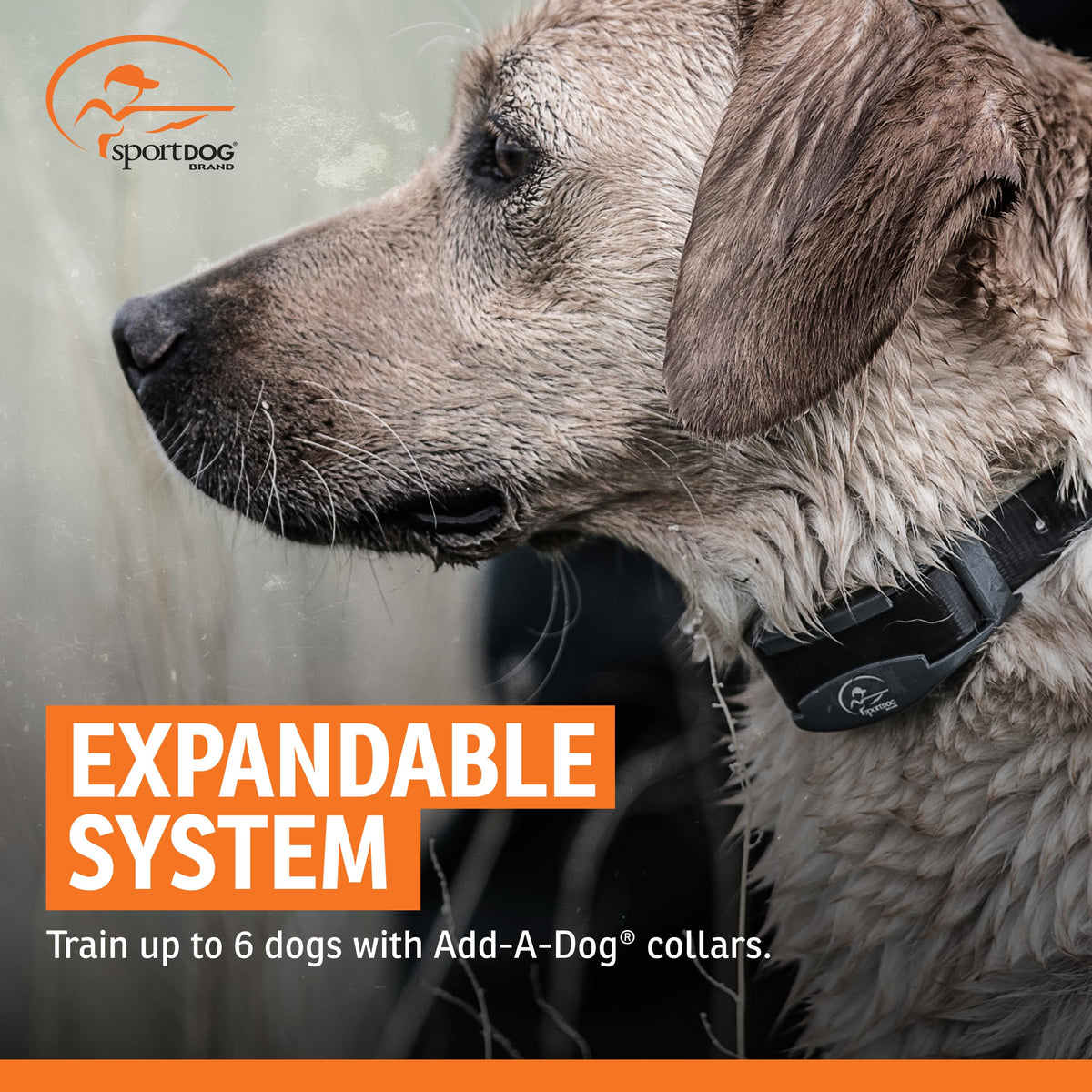 Remote Dog Trainer 1-Mile Range V232