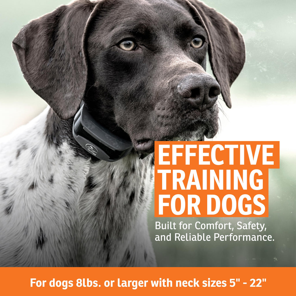 Remote Dog Trainer 1-Mile Range V232
