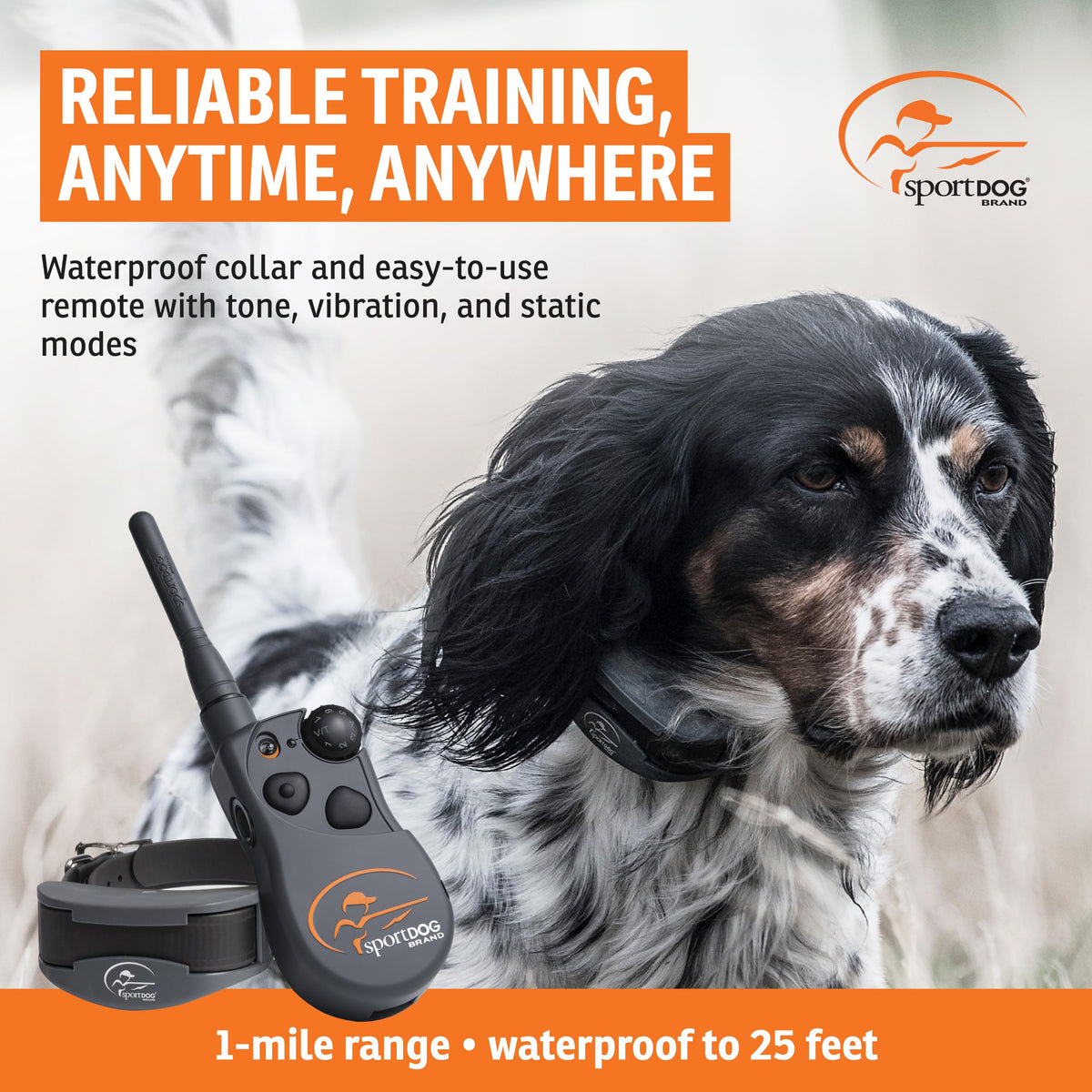 Remote Dog Trainer 1-Mile Range V232