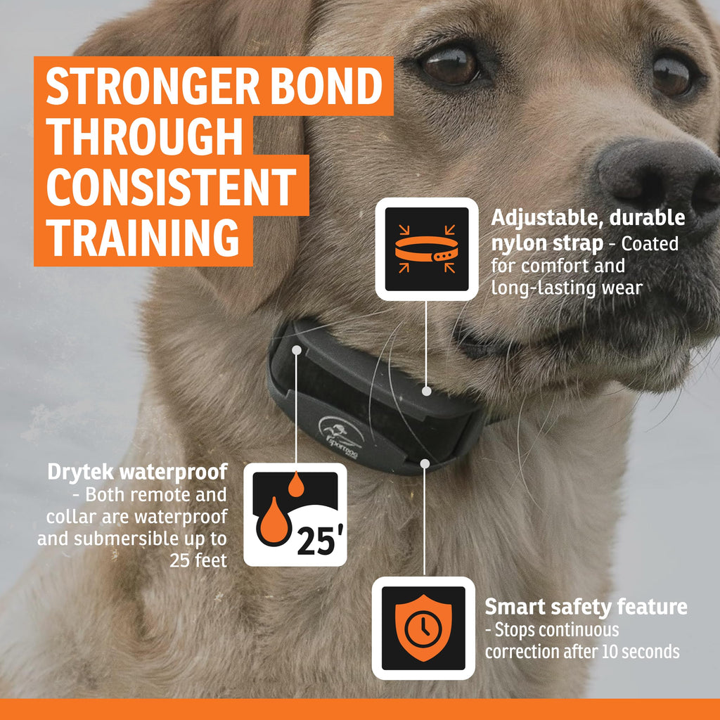 Remote Dog Trainer 1-Mile Range V232